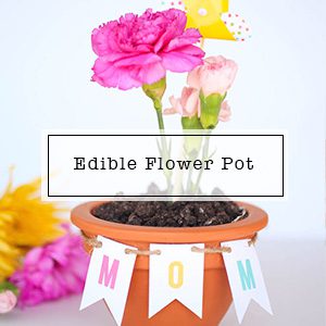 Mother's Day Flower DIY