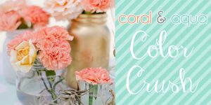 Monday Color Crush {Coral & Aqua}